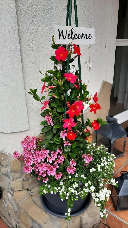 Munkacsy Apartmanok Balatonfenyves Εξωτερικό φωτογραφία
